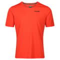 Miniatyrbild 1 av 4: Inov8 Kortärmad T-shirt Performance  XL Kvinna