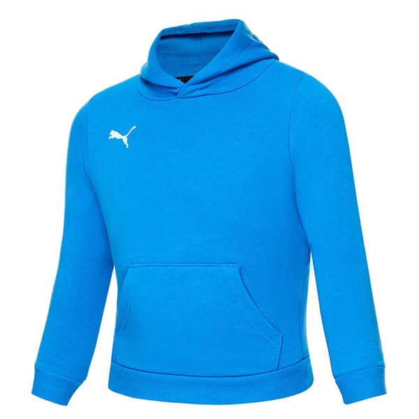 Puma Luvtröja Teamgoal 23 Casuals Blå 13-14 Years Pojke
