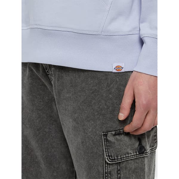 Dickies Huppari Millersburg Sininen 2XL Mies