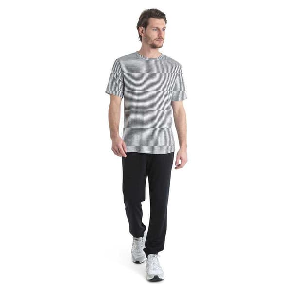 Icebreaker Merino Linen T-shirt Med Korte ærmer  M Mand