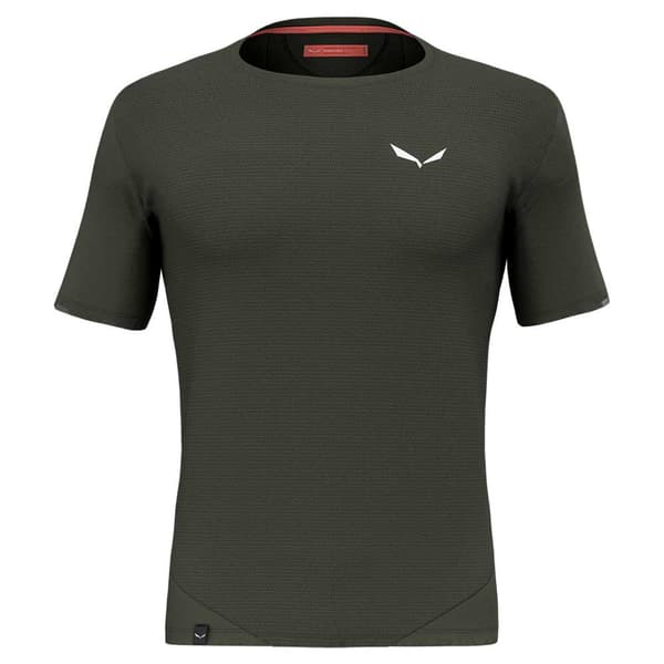 Salewa Pedroc Dry Mesh T-shirt Med Korta ärmar Grönt M Man