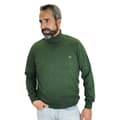 Miniatyrbillede 1 af 2: Pasion Morena Turtlehals Sweater Logo Grøn L