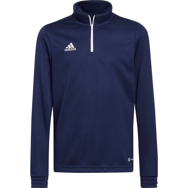 Adidas Entrada 22 Training Huppari Sininen 7-8 Years