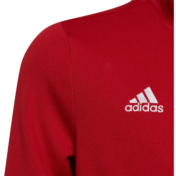 Adidas Takki Entrada 22 Punainen 9-10 Years