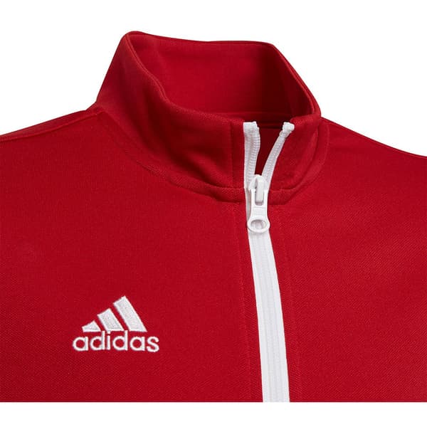 Adidas Takki Entrada 22 Punainen 9-10 Years