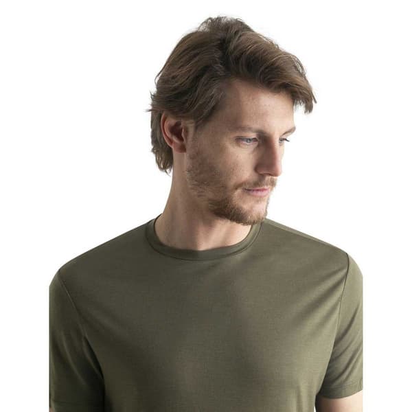 Icebreaker Merino Core T-shirt Med Korta ärmar Grönt S Man