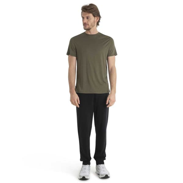 Icebreaker Merino Core T-shirt Med Korta ärmar Grönt S Man