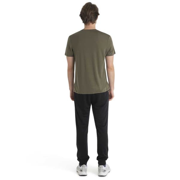 Icebreaker Merino Core T-shirt Med Korta ärmar Grönt S Man