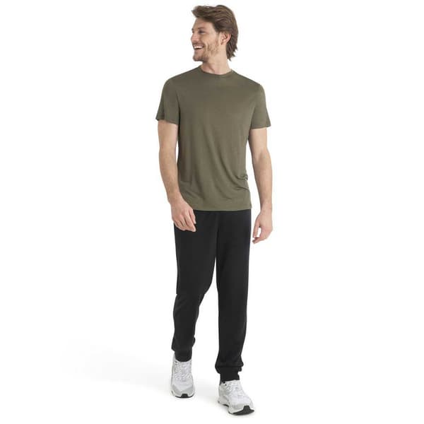 Icebreaker Merino Core T-shirt Med Korta ärmar Grönt S Man