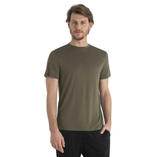 Icebreaker Merino Core T-shirt Med Korta ärmar Grönt S Man