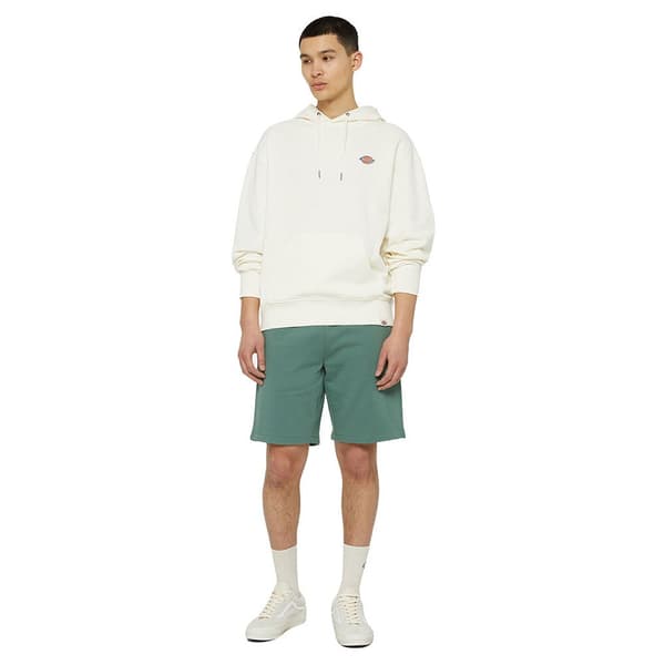 Dickies Millersburg Tröja Med Huva Beige M Man