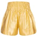 Miniatyrbild 2 av 4: Benlee Uni Thai Thaiboxningsshorts Gul XL Man