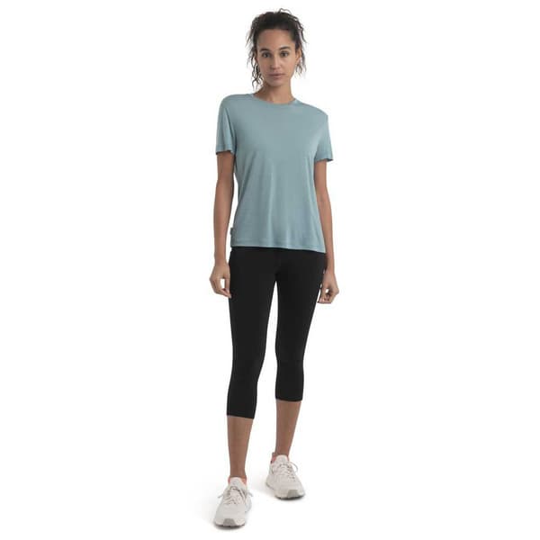 Icebreaker Merino Core T-shirt Med Korte ærmer Blå XS Kvinde