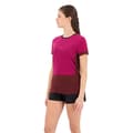 Pikkukuva 4 / 5: Icebreaker Zone Knit Lyhythihainen T-paita Violetti XS Nainen