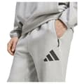 Miniatyrbild 5 av 6: Adidas New Z.n.e Träningsbyxor  XL / Regular Man