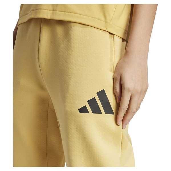 Adidas Z.n.e Træningsbukser  XS / Regular Kvinde