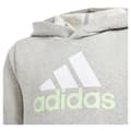 Miniatyrbild 3 av 5: Adidas Essentials 2 Coloured Big Logo Tröja Med Huva Grå 7-8 Years Pojke