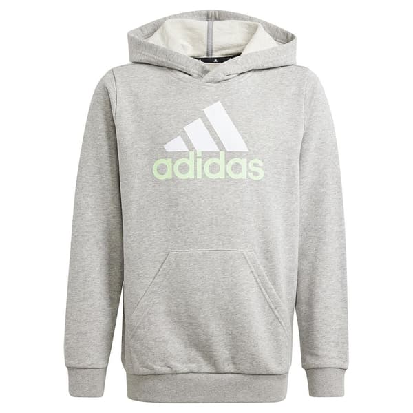 Adidas Essentials 2 Coloured Big Logo Tröja Med Huva Grå 7-8 Years Pojke