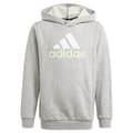Miniatyrbild 1 av 5: Adidas Essentials 2 Coloured Big Logo Tröja Med Huva Grå 7-8 Years Pojke