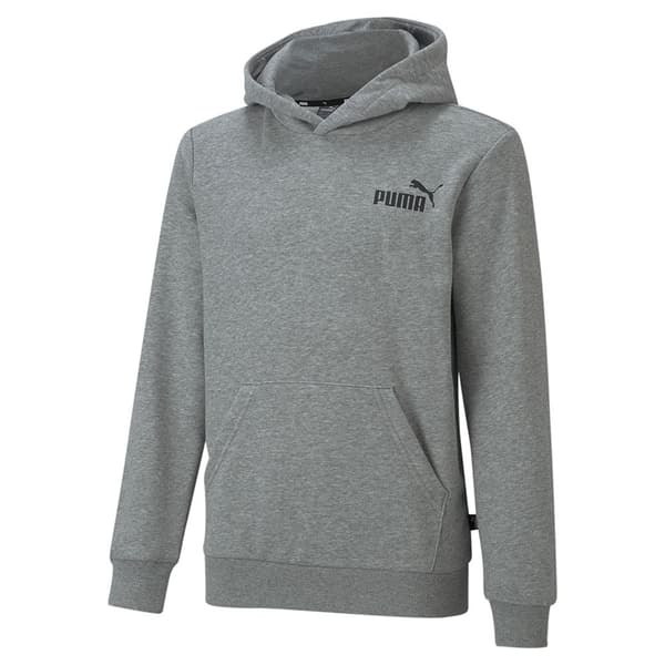 Puma Ess Small Logo Tröja Med Huva Grå 11-12 Years Pojke