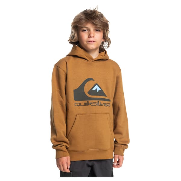 Quiksilver Big Logo Huvtröja Brun 8 Years Pojke