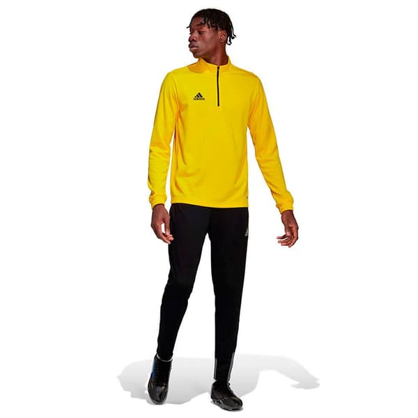 Adidas Entrada 22 Training Tröja Gul XS / Regular Man