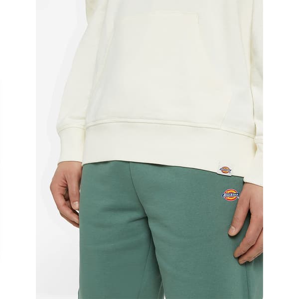 Dickies Millersburg Tröja Med Huva Beige L Man