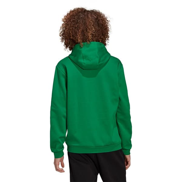 Adidas Entrada 22 Hættetrøje Grøn L / Tall 2 Mand
