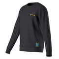 Miniatyrbillede 1 af 3: La Sportiva Climbing On The Moon Sweatshirt Grå M Mand