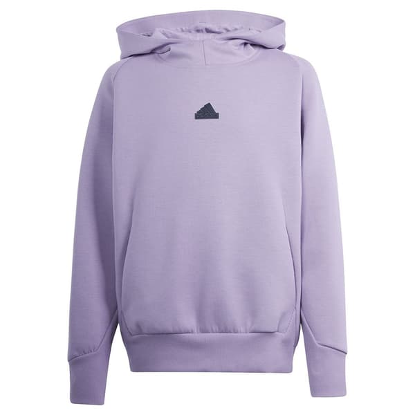 Adidas Z.n.e Tröja Med Huva Grå 9-10 Years Pojke