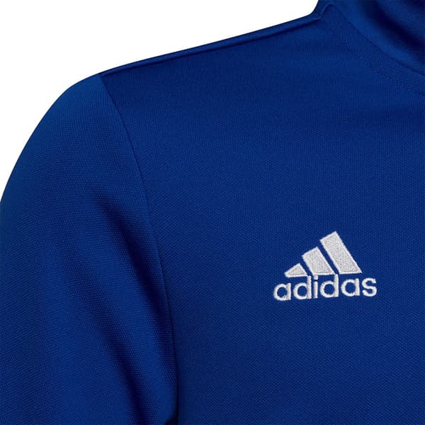 Adidas Entrada 22 Training Tröja Blå 5-6 Years Pojke