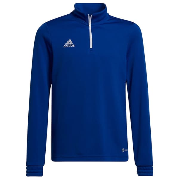 Adidas Entrada 22 Training Tröja Blå 5-6 Years Pojke