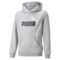 Pikkukuva 1 / 2: Puma Ess+ 2 Col Big Logo Fl B Huppari Harmaa 13-14 Years Poika