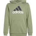 Miniatyrbillede 3 af 6: Adidas Essentials Two Colored Big Logo Cotton Hættetrøje Grøn 15-16 Years Dreng
