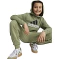 Miniatyrbillede 4 af 6: Adidas Essentials Two Colored Big Logo Cotton Hættetrøje Grøn 15-16 Years Dreng