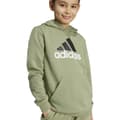 Miniatyrbillede 6 af 6: Adidas Essentials Two Colored Big Logo Cotton Hættetrøje Grøn 15-16 Years Dreng