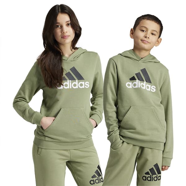 Adidas Essentials Two Colored Big Logo Cotton Hættetrøje Grøn 15-16 Years Dreng