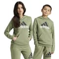 Miniatyrbillede 1 af 6: Adidas Essentials Two Colored Big Logo Cotton Hættetrøje Grøn 15-16 Years Dreng