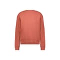 Miniatyrbillede 1 af 5: Lee 112355149 Sweatshirt Orange XS Kvinde