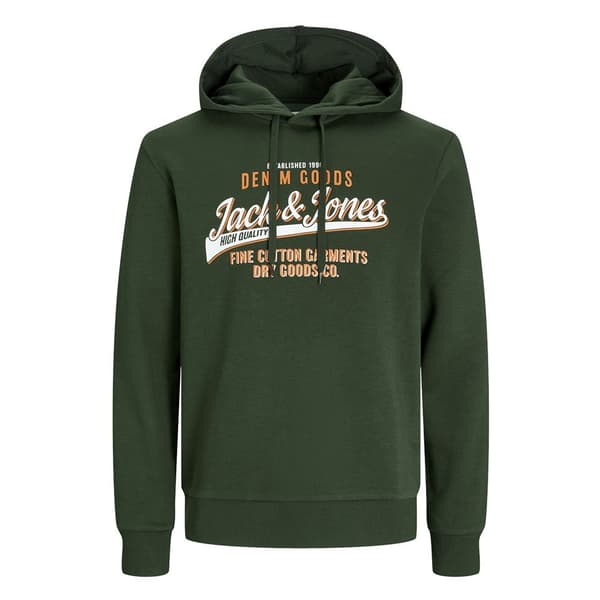Jack & Jones Logo 2 Plus Size Huvtröja Grönt 3XL Man