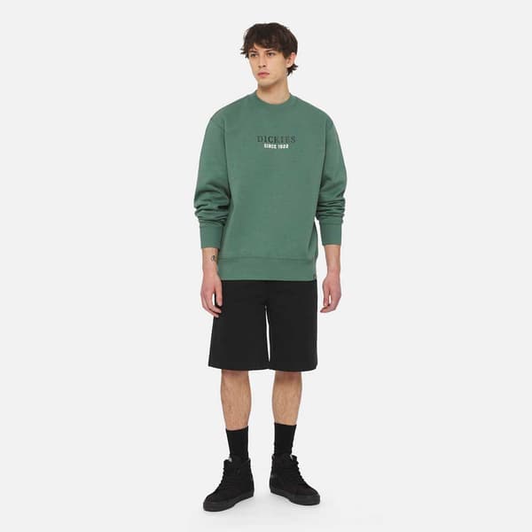 Dickies Park Tröja Grönt M Man