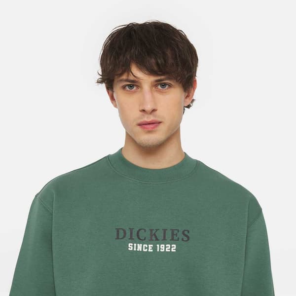 Dickies Park Tröja Grönt M Man