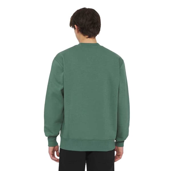 Dickies Park Tröja Grönt M Man
