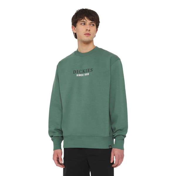 Dickies Park Tröja Grönt M Man