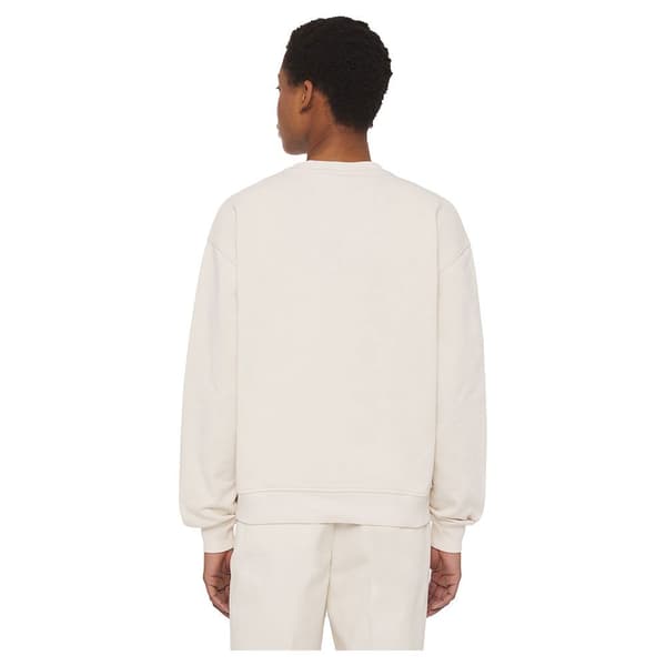 Dickies Millersburg Sweatshirt Beige M Kvinde