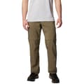 Miniatyrbillede 1 af 4: Columbia Silver Ridge Utility Convertible Pant 2012962397, Mand, Bukser, Grøn
