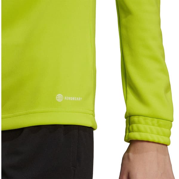 Adidas Entrada 22 Training Sweatshirt Grøn L / Regular Kvinde