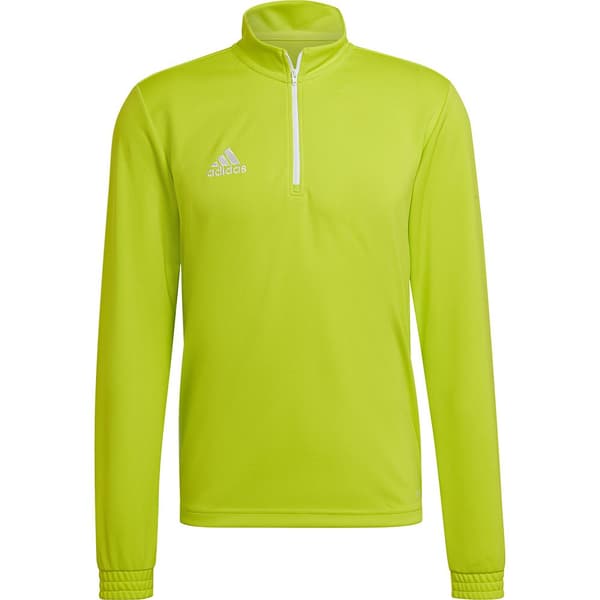 Adidas Entrada 22 Training Tröja Grönt XL / Regular Man