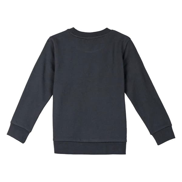 Cerda Group Cotton Brushed Lion King Tröja Grå 4 Years