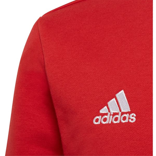 Adidas Entrada 22 Stadium Sw Tröja Röd 7-8 Years Pojke